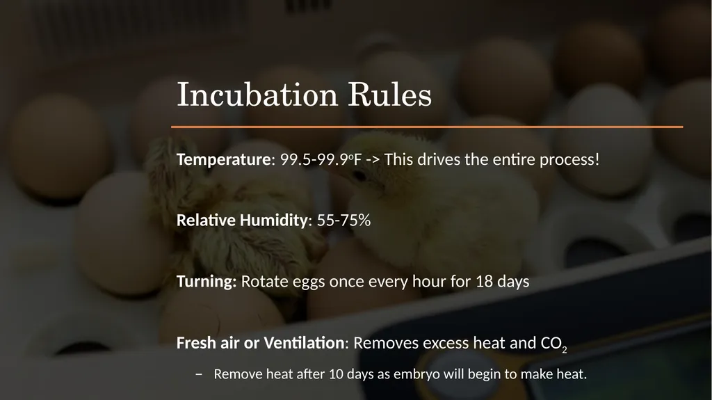 POULTRY SCIENCE: Hatchery Operation Unit 11 - slide 7 of 31