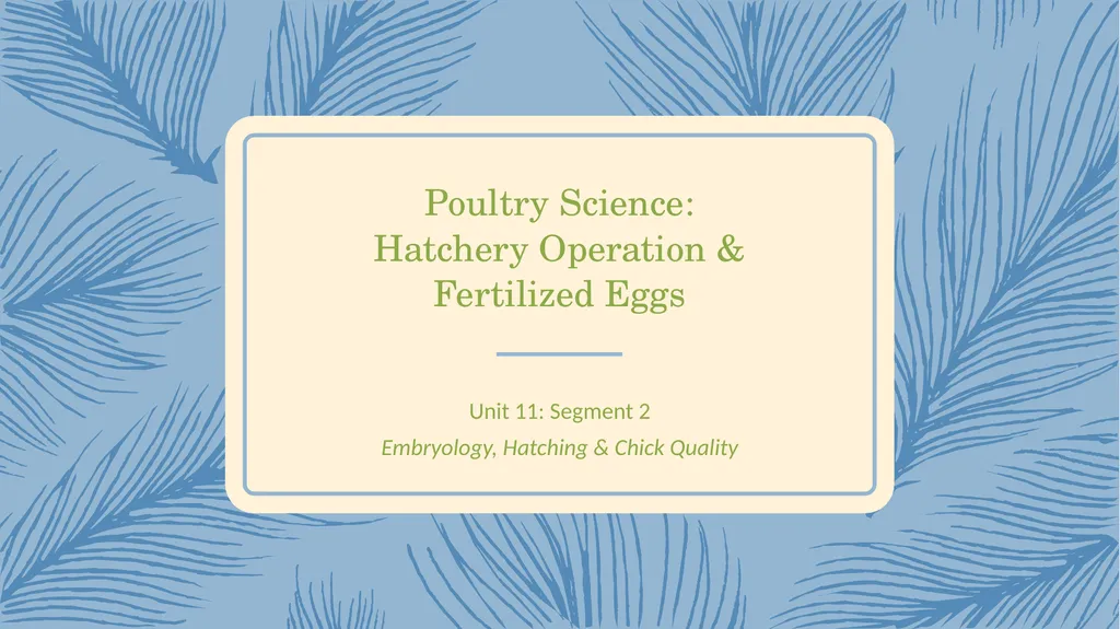 POULTRY SCIENCE: Hatchery Operation Unit 11 - slide 11 of 31