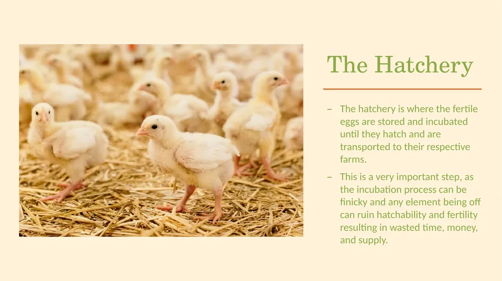POULTRY SCIENCE: Hatchery Operation Unit 11 - slide 3 of 31