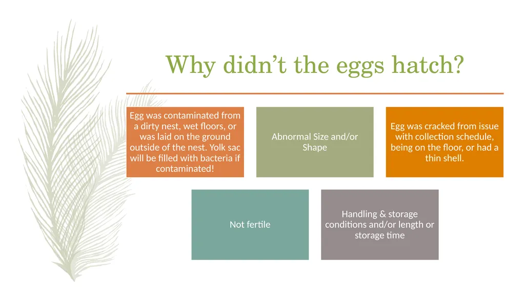 POULTRY SCIENCE: Hatchery Operation Unit 11 - slide 10 of 31