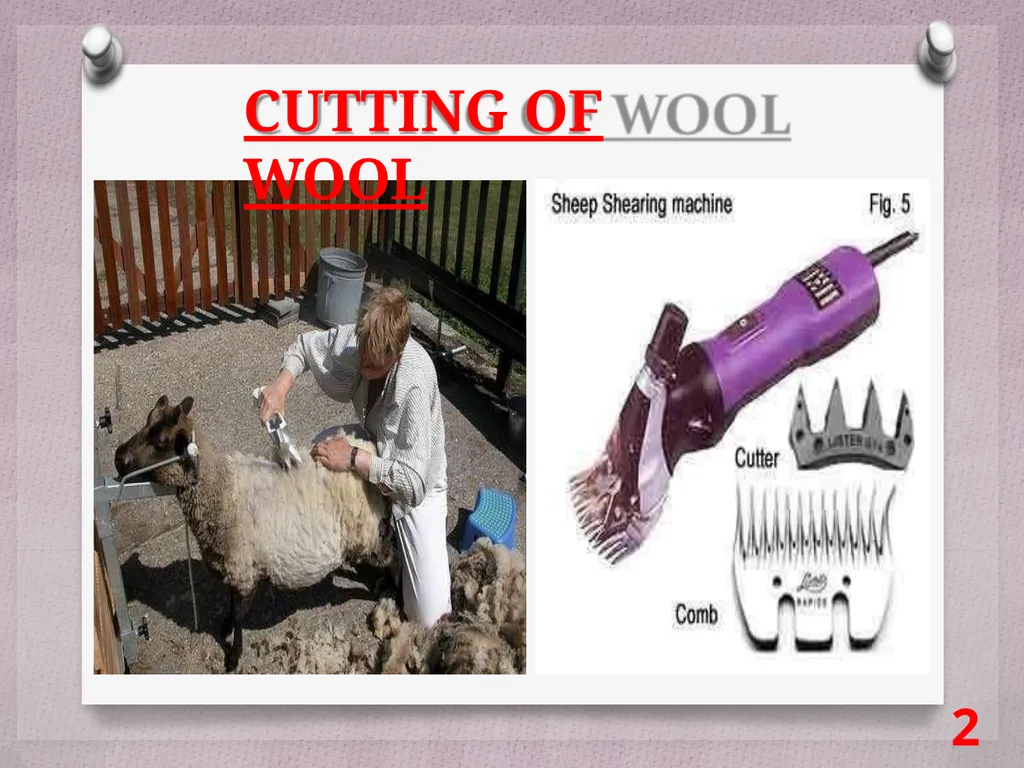 SCIENCE Chapter: 3 FIBRE TO FABRIC Class VII NK - slide 21 of 41