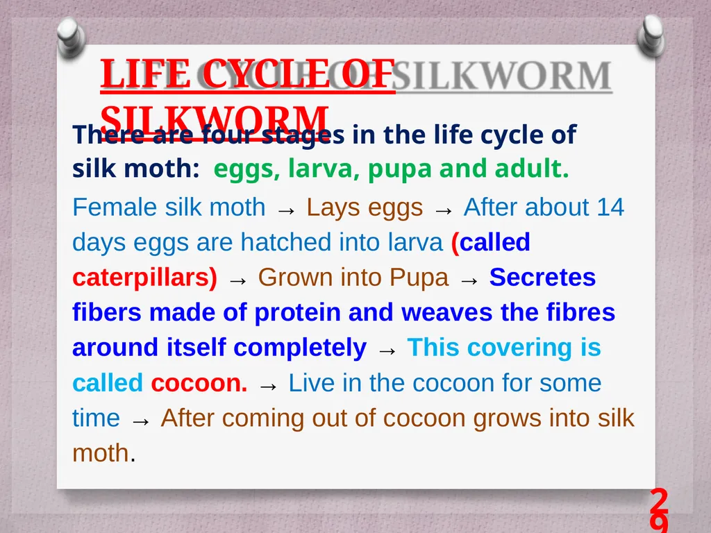 SCIENCE Chapter: 3 FIBRE TO FABRIC Class VII NK - slide 29 of 41