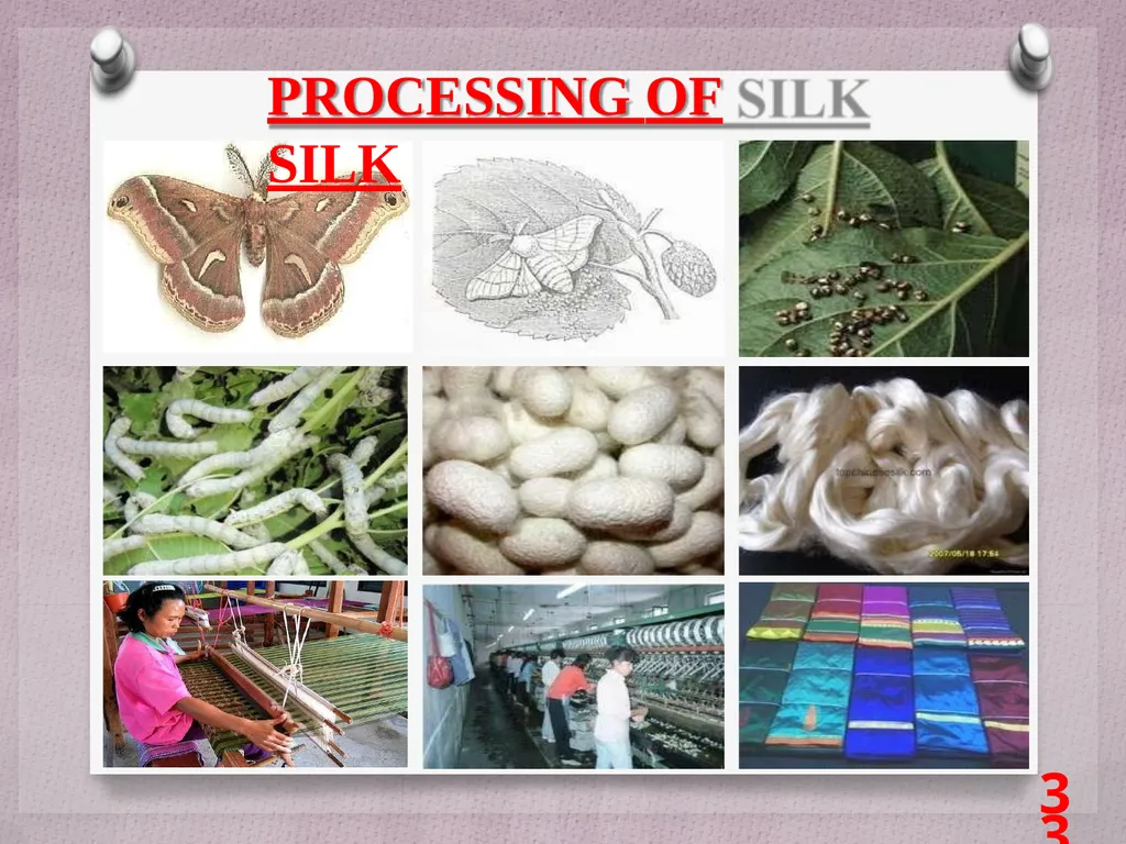 SCIENCE Chapter: 3 FIBRE TO FABRIC Class VII NK - slide 33 of 41