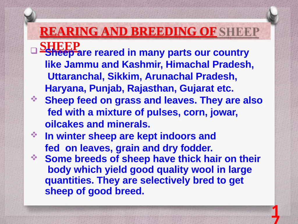 SCIENCE Chapter: 3 FIBRE TO FABRIC Class VII NK - slide 17 of 41