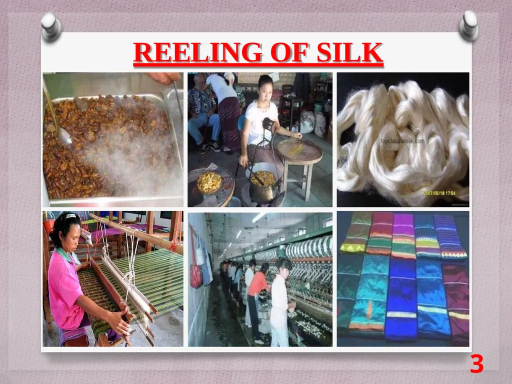 SCIENCE Chapter: 3 FIBRE TO FABRIC Class VII NK - slide 37 of 41