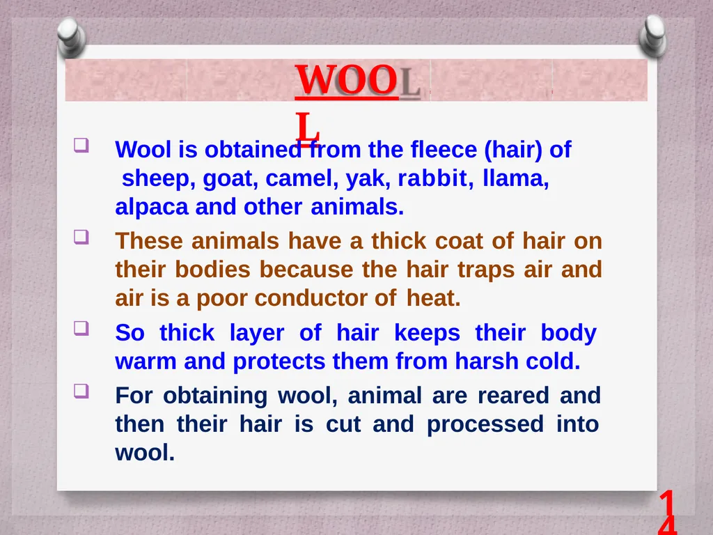 SCIENCE Chapter: 3 FIBRE TO FABRIC Class VII NK - slide 14 of 41
