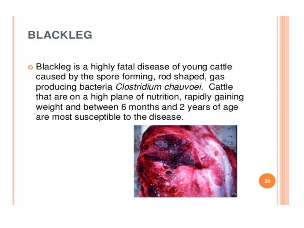 Date-22/1/2021 Part -11 2nd year professional - slide 22 of 26