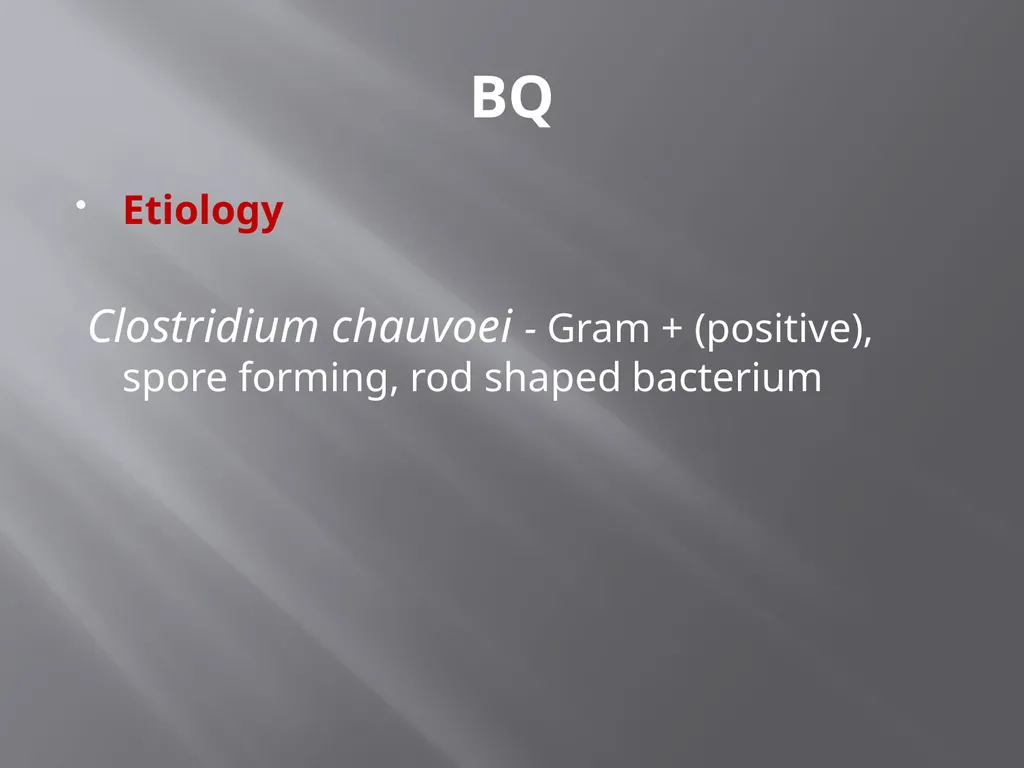 CLOSTRIDIAL DISEASES Introduction Clostridial - slide 41 of 55