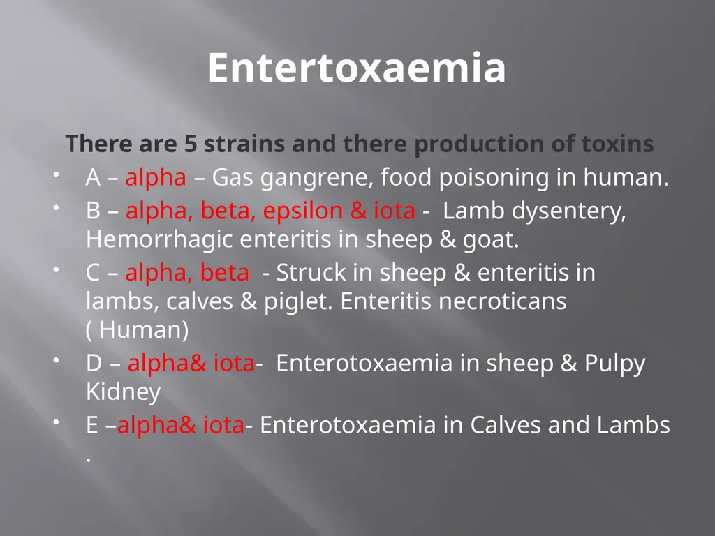 CLOSTRIDIAL DISEASES Introduction Clostridial - slide 28 of 55