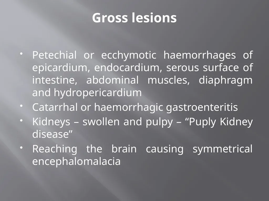 CLOSTRIDIAL DISEASES Introduction Clostridial - slide 38 of 55