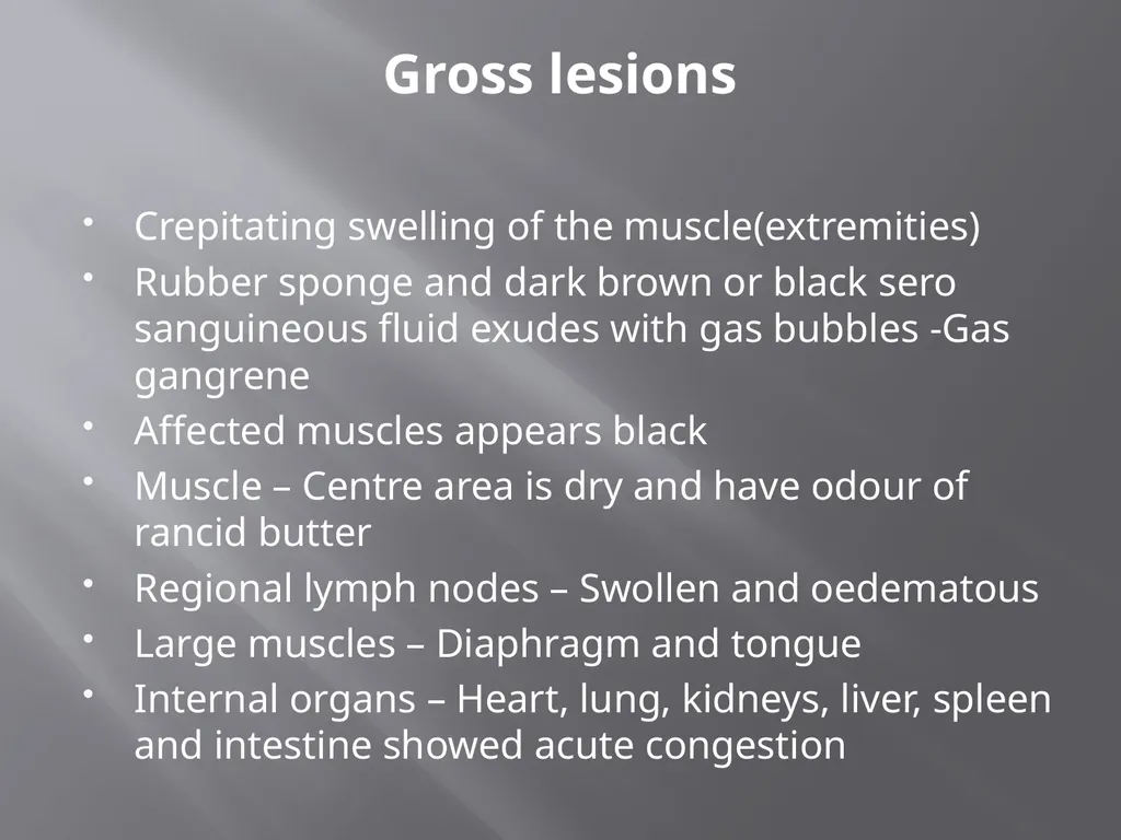 CLOSTRIDIAL DISEASES Introduction Clostridial - slide 50 of 55
