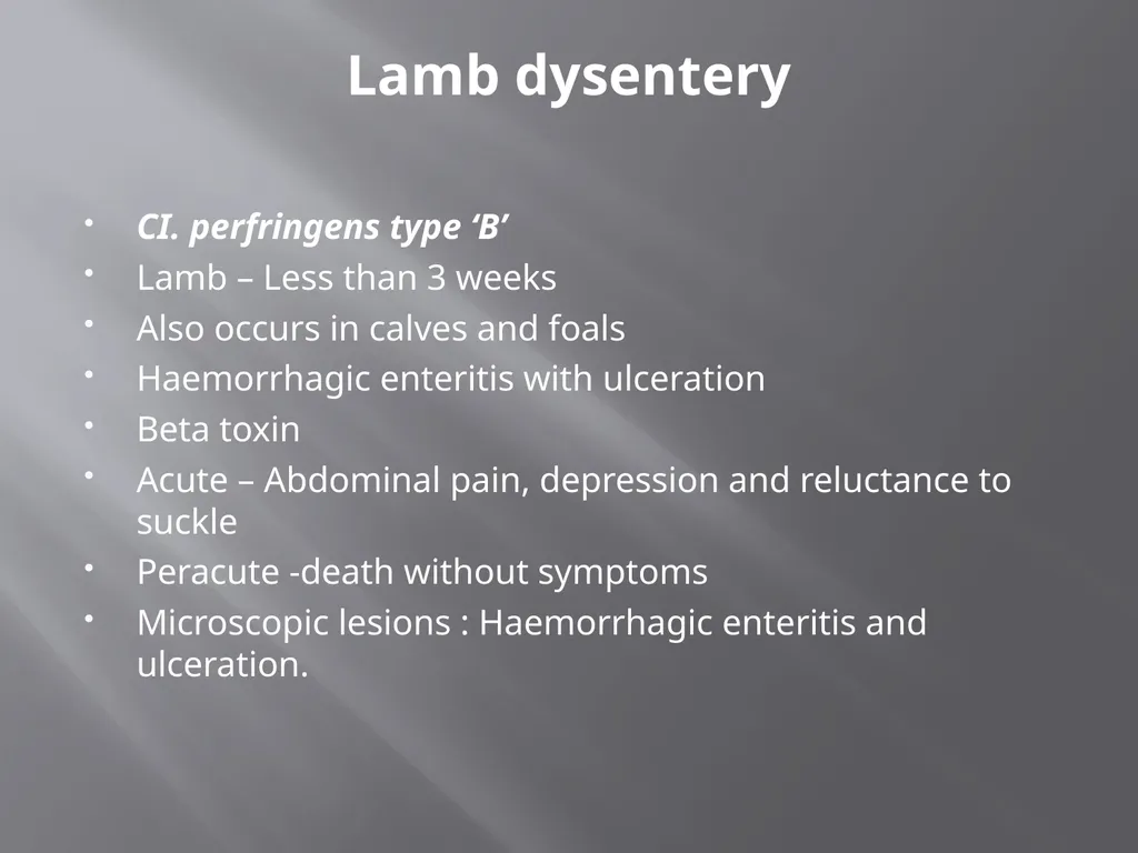 CLOSTRIDIAL DISEASES Introduction Clostridial - slide 32 of 55