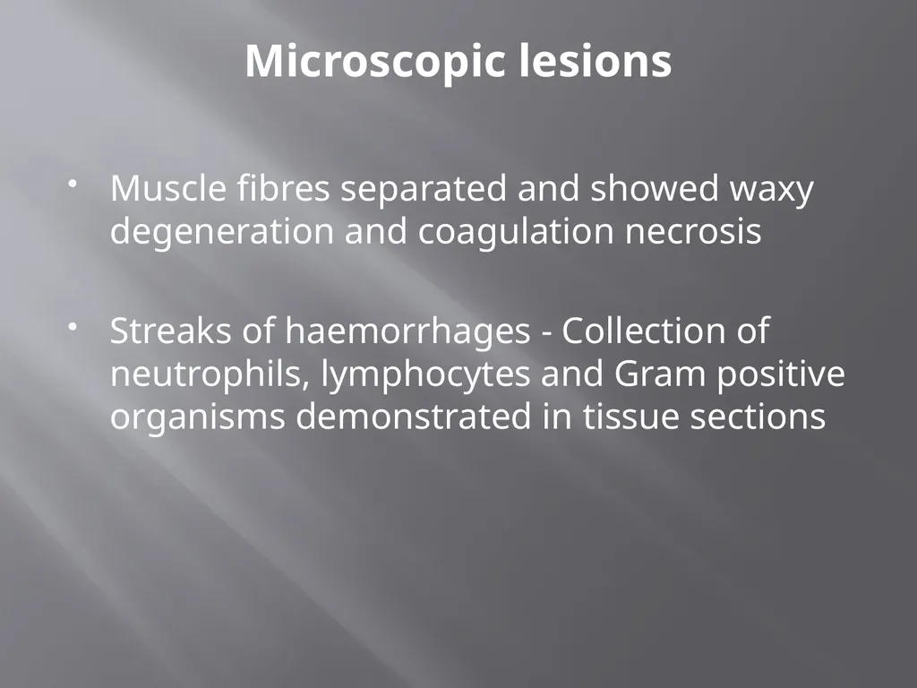CLOSTRIDIAL DISEASES Introduction Clostridial - slide 51 of 55