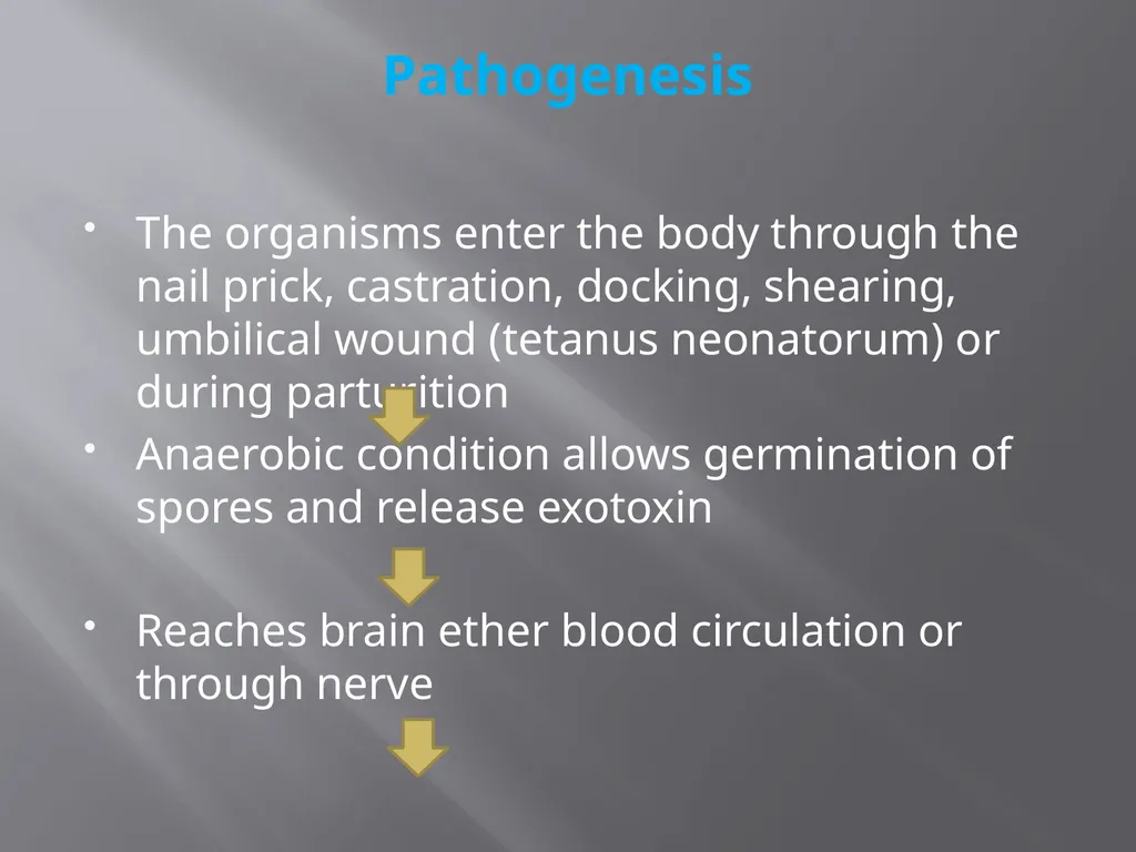 CLOSTRIDIAL DISEASES Introduction Clostridial - slide 14 of 55