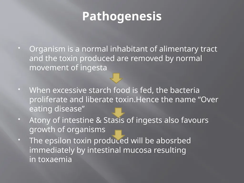 CLOSTRIDIAL DISEASES Introduction Clostridial - slide 36 of 55