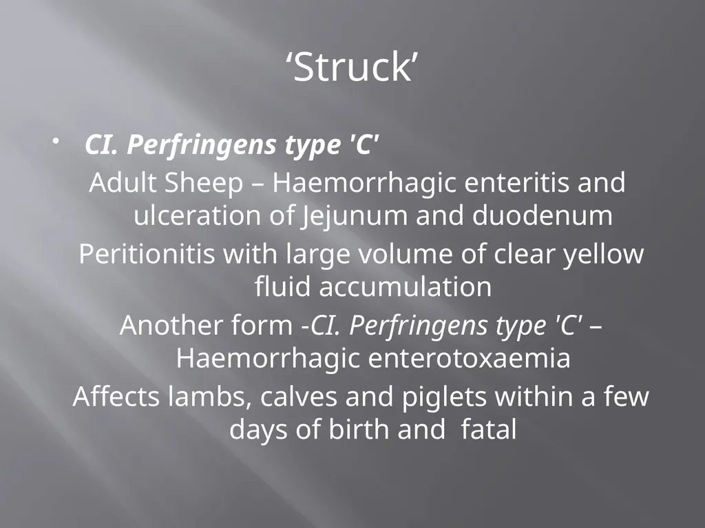CLOSTRIDIAL DISEASES Introduction Clostridial - slide 33 of 55