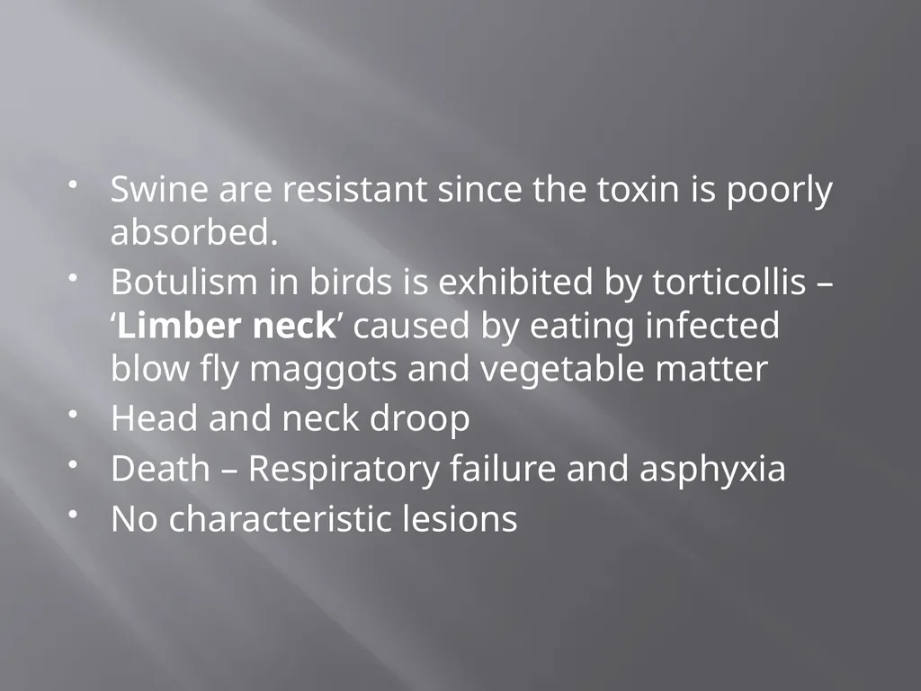 CLOSTRIDIAL DISEASES Introduction Clostridial - slide 27 of 55