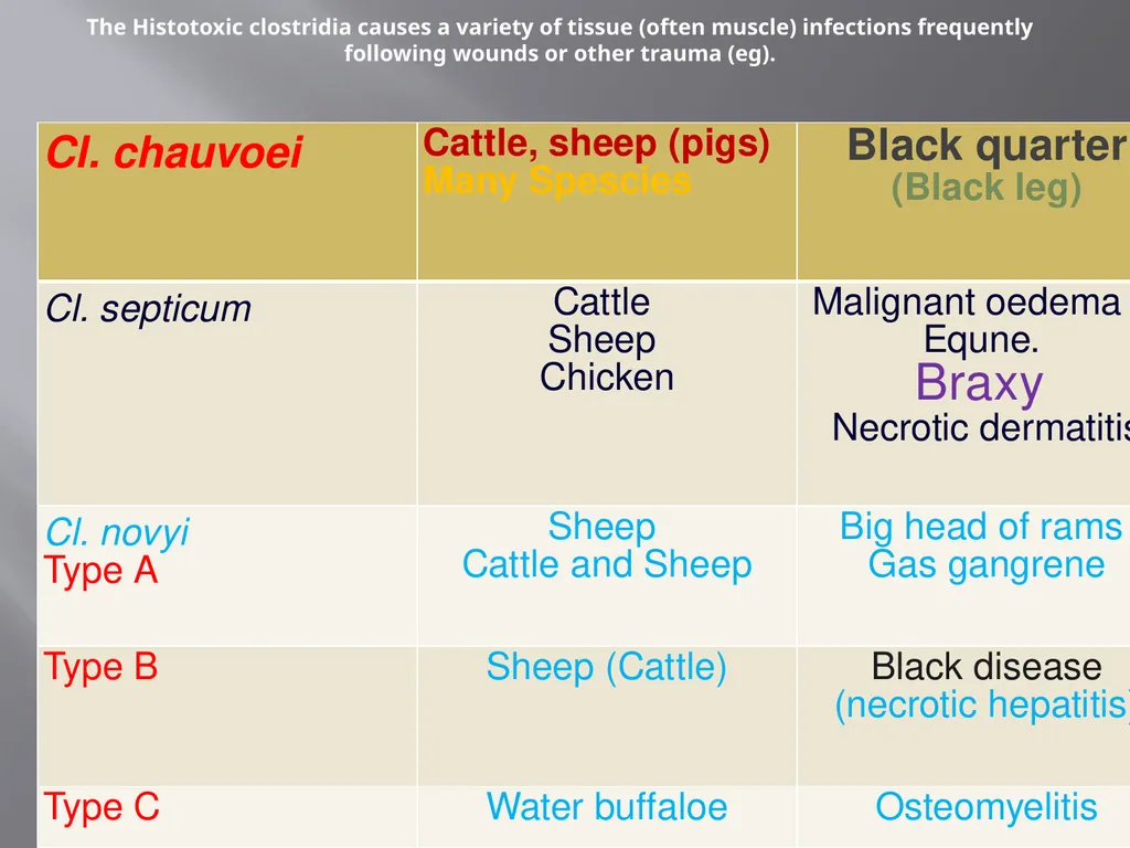 CLOSTRIDIAL DISEASES Introduction Clostridial - slide 4 of 55
