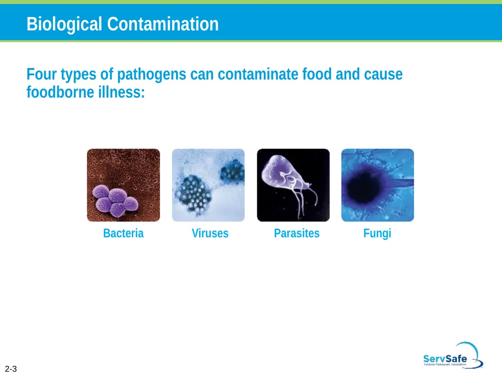 Foodborne Illnesses A foodborne illness is a - slide 25 of 118