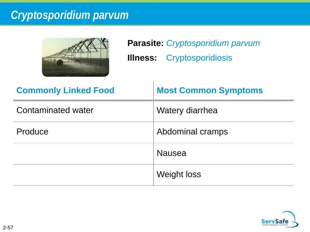 Foodborne Illnesses A foodborne illness is a - slide 79 of 118