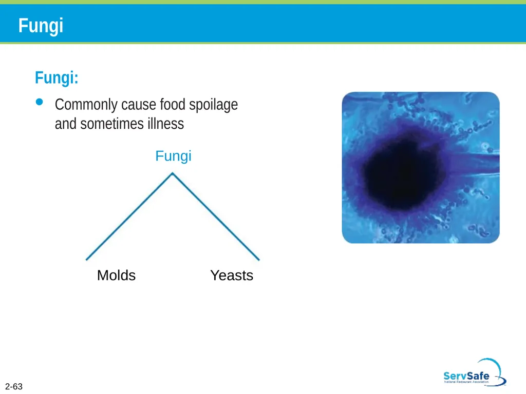 Foodborne Illnesses A foodborne illness is a - slide 85 of 118