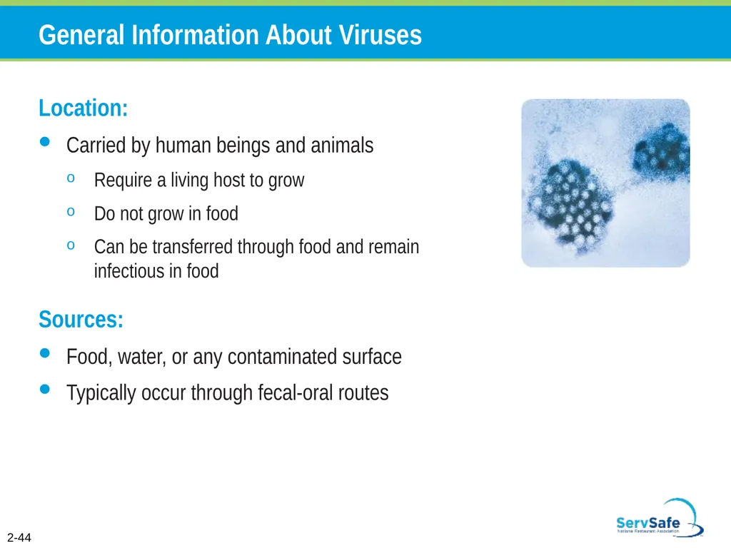 Foodborne Illnesses A foodborne illness is a - slide 66 of 118