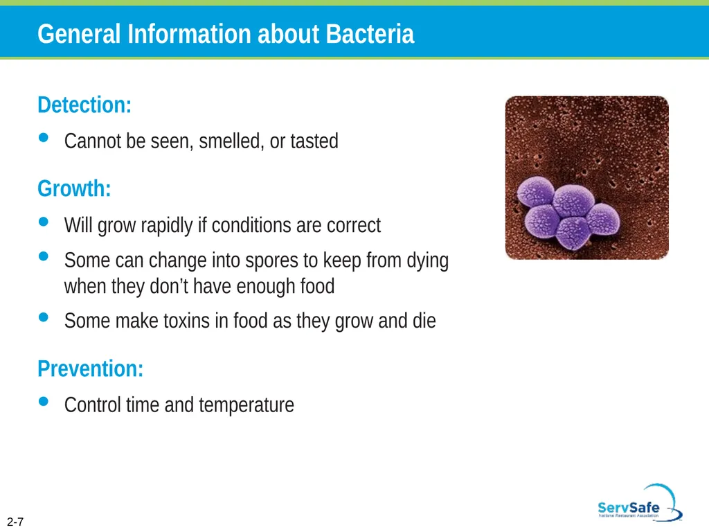 Foodborne Illnesses A foodborne illness is a - slide 29 of 118