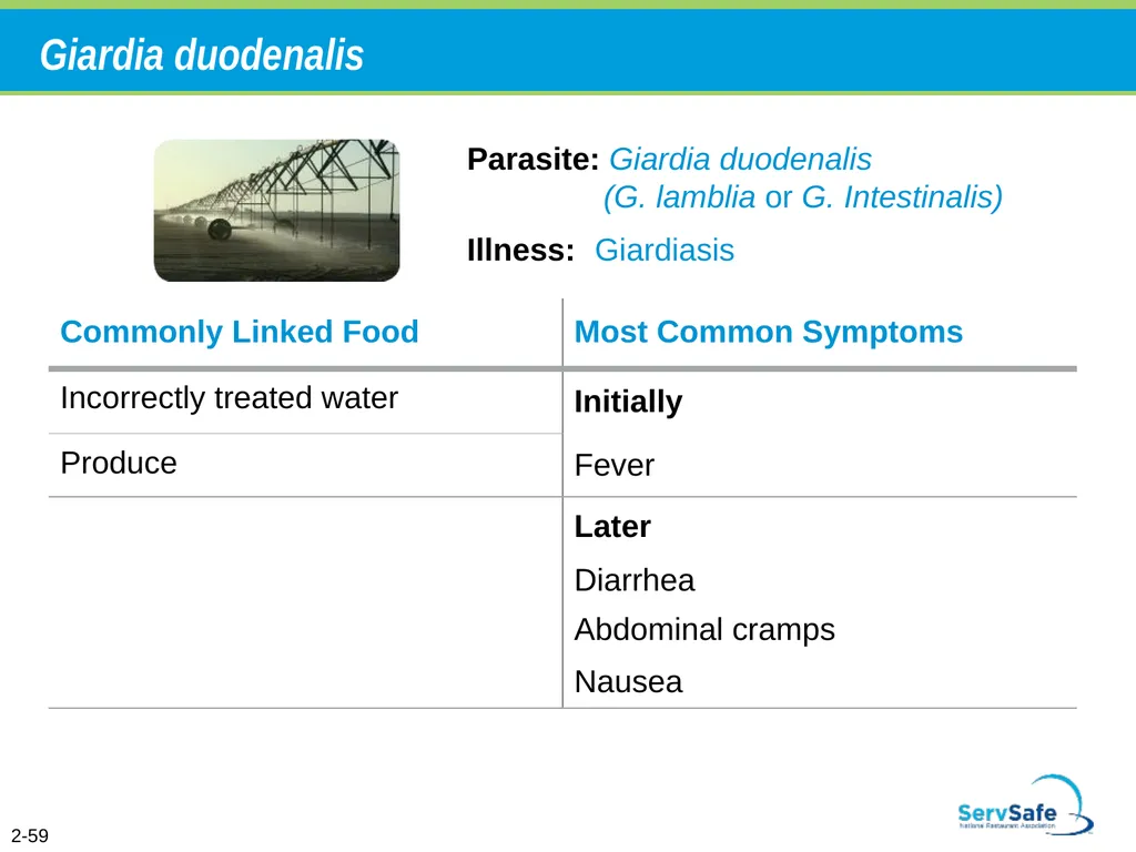 Foodborne Illnesses A foodborne illness is a - slide 81 of 118