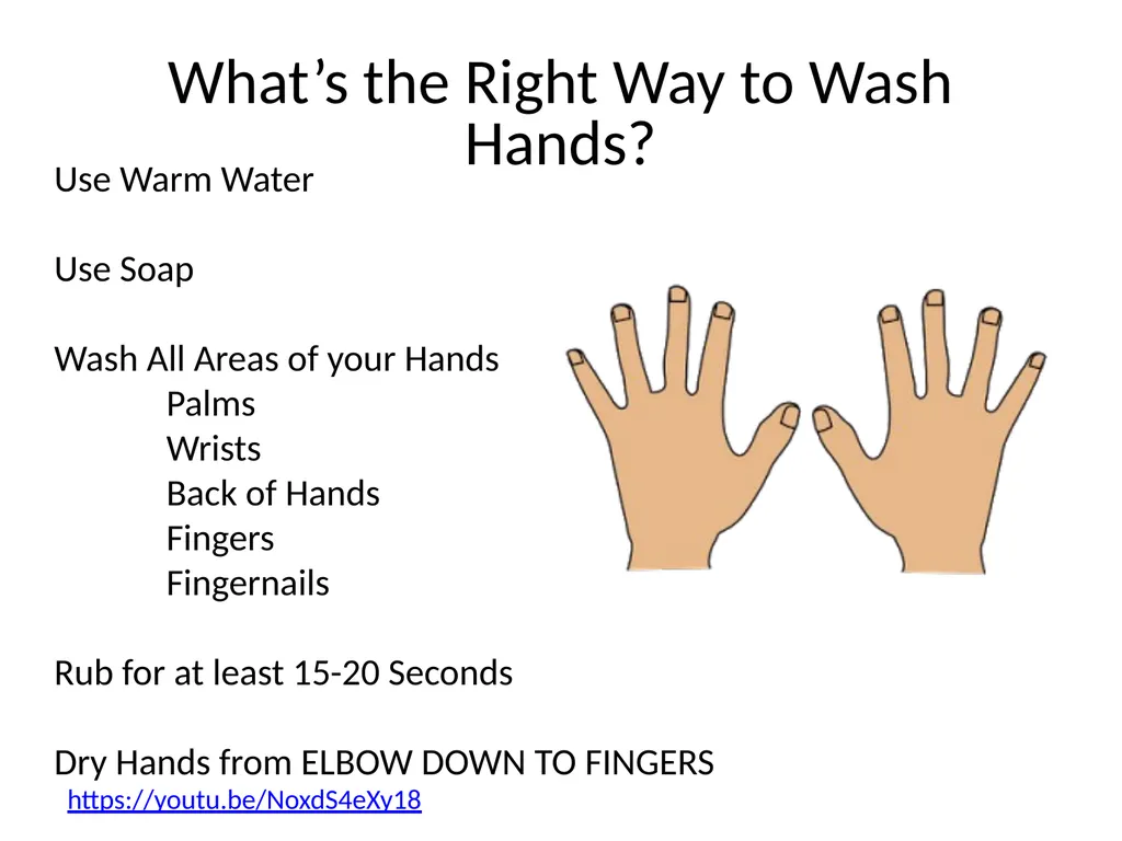Ms. Kanoe’s Kindergarten Class Glitter Germs What - slide 5 of 9