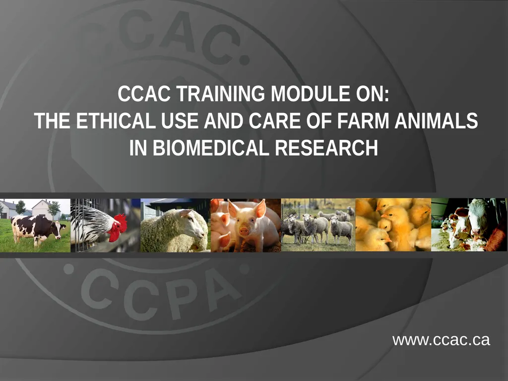 CCAC Training Module on: the Ethical Use and Care - slide 1 of 18