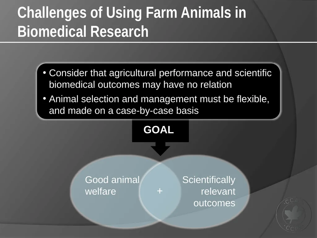 CCAC Training Module on: the Ethical Use and Care - slide 7 of 18