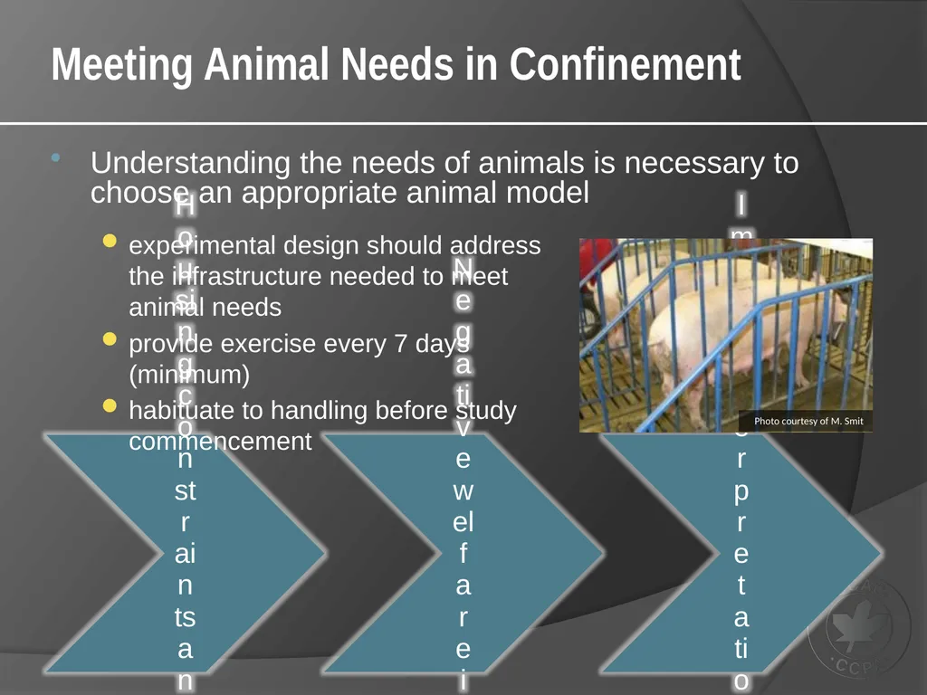 CCAC Training Module on: the Ethical Use and Care - slide 12 of 18