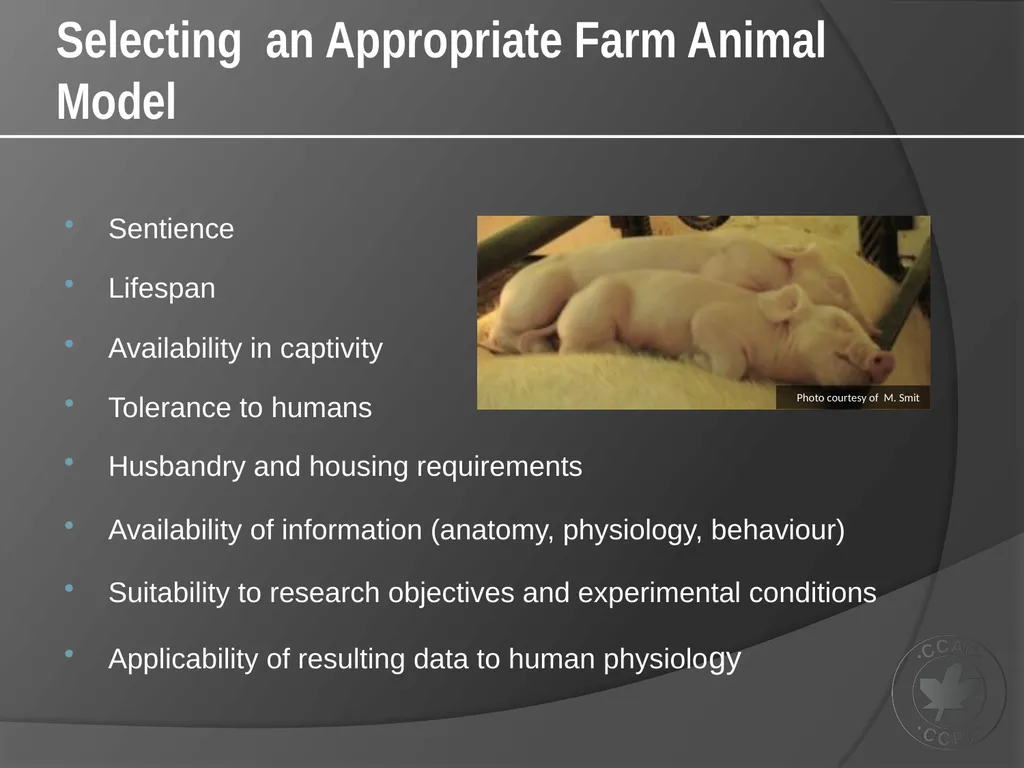CCAC Training Module on: the Ethical Use and Care - slide 9 of 18