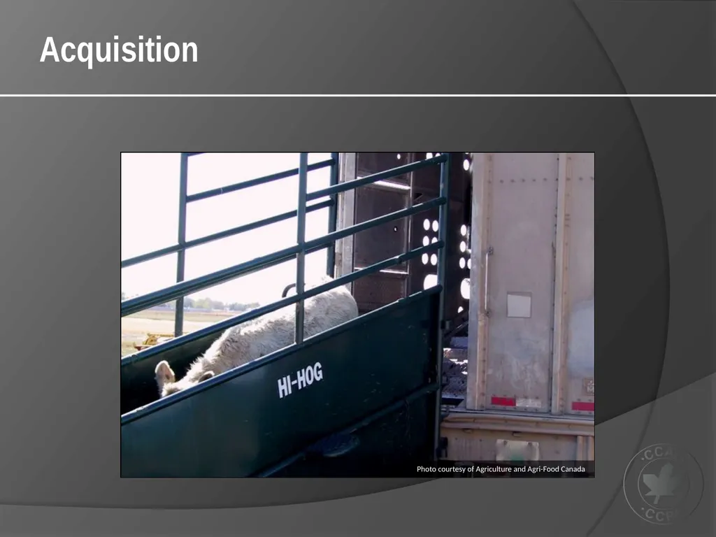 CCAC Training Module on: the Ethical Use and Care - slide 20 of 52