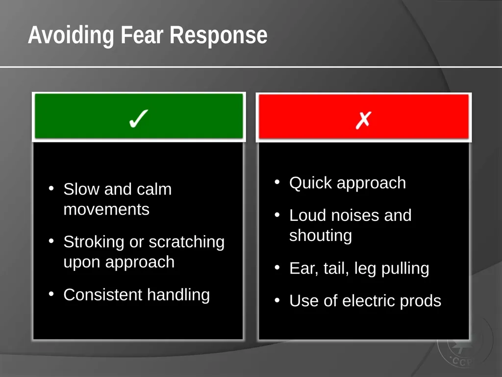 CCAC Training Module on: the Ethical Use and Care - slide 29 of 52
