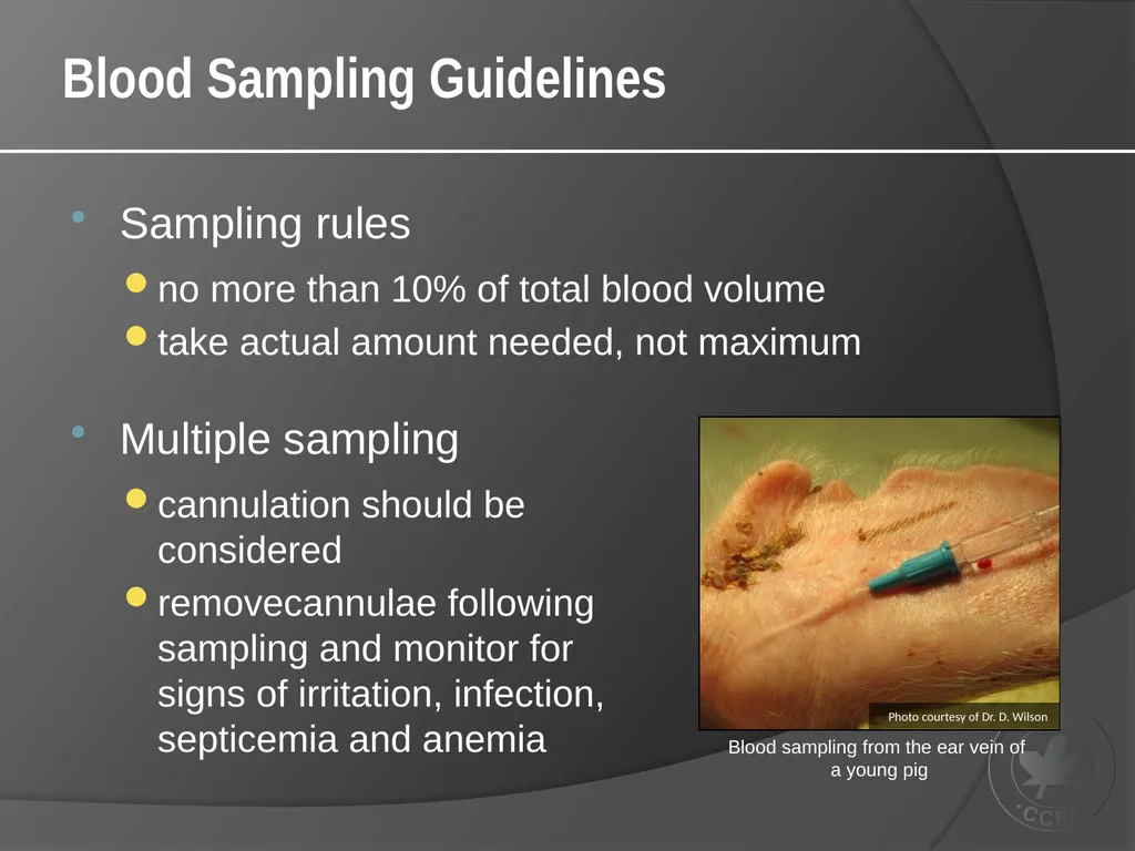 CCAC Training Module on: the Ethical Use and Care - slide 40 of 52