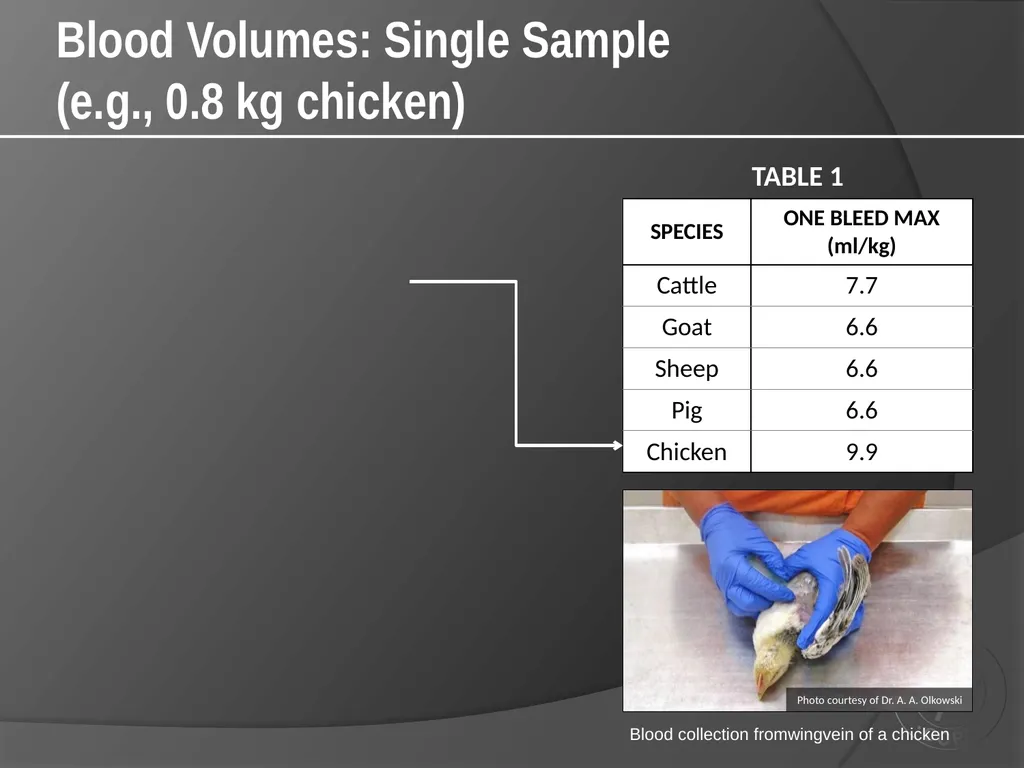 CCAC Training Module on: the Ethical Use and Care - slide 41 of 52
