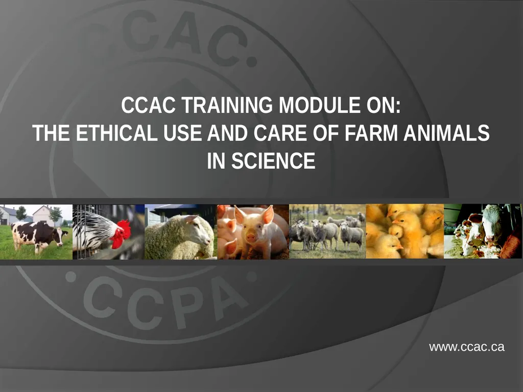 CCAC Training Module on: the Ethical Use and Care - slide 1 of 52