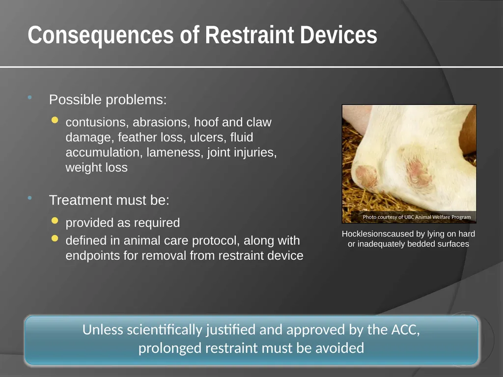 CCAC Training Module on: the Ethical Use and Care - slide 33 of 52
