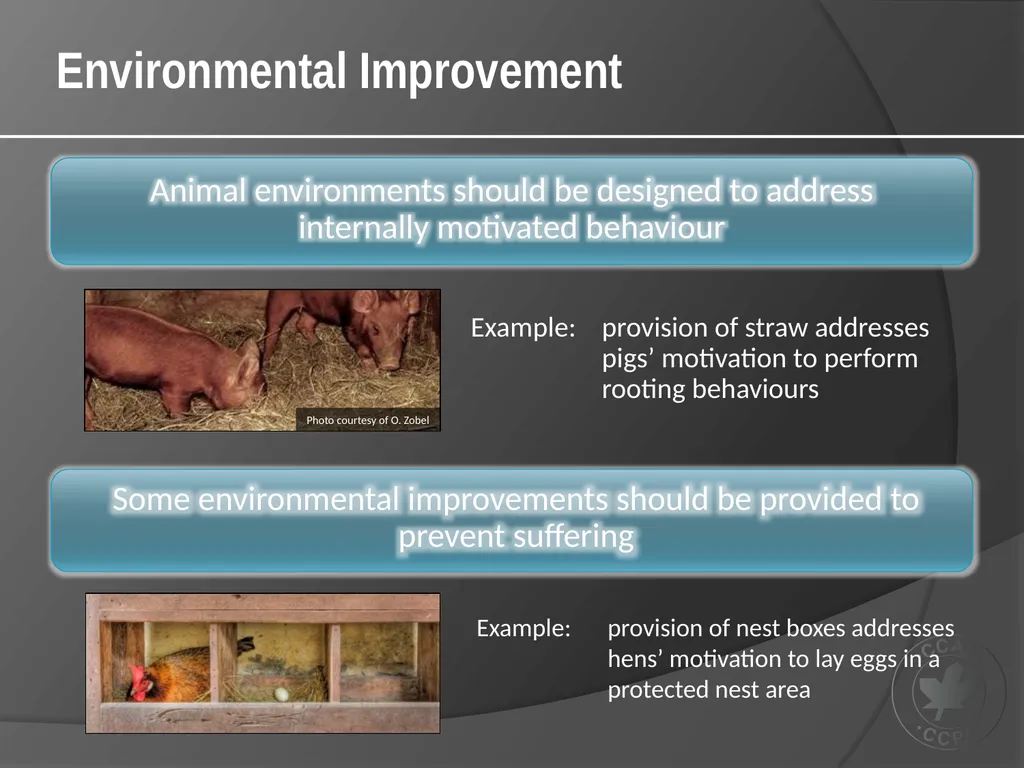 CCAC Training Module on: the Ethical Use and Care - slide 17 of 52