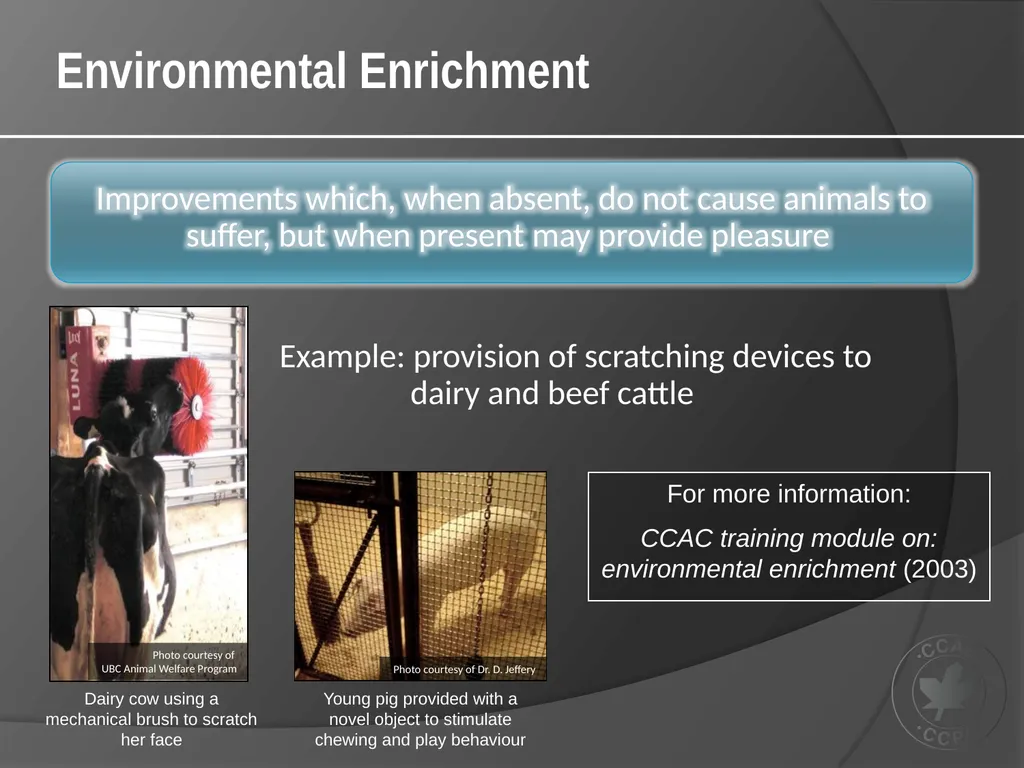 CCAC Training Module on: the Ethical Use and Care - slide 19 of 52