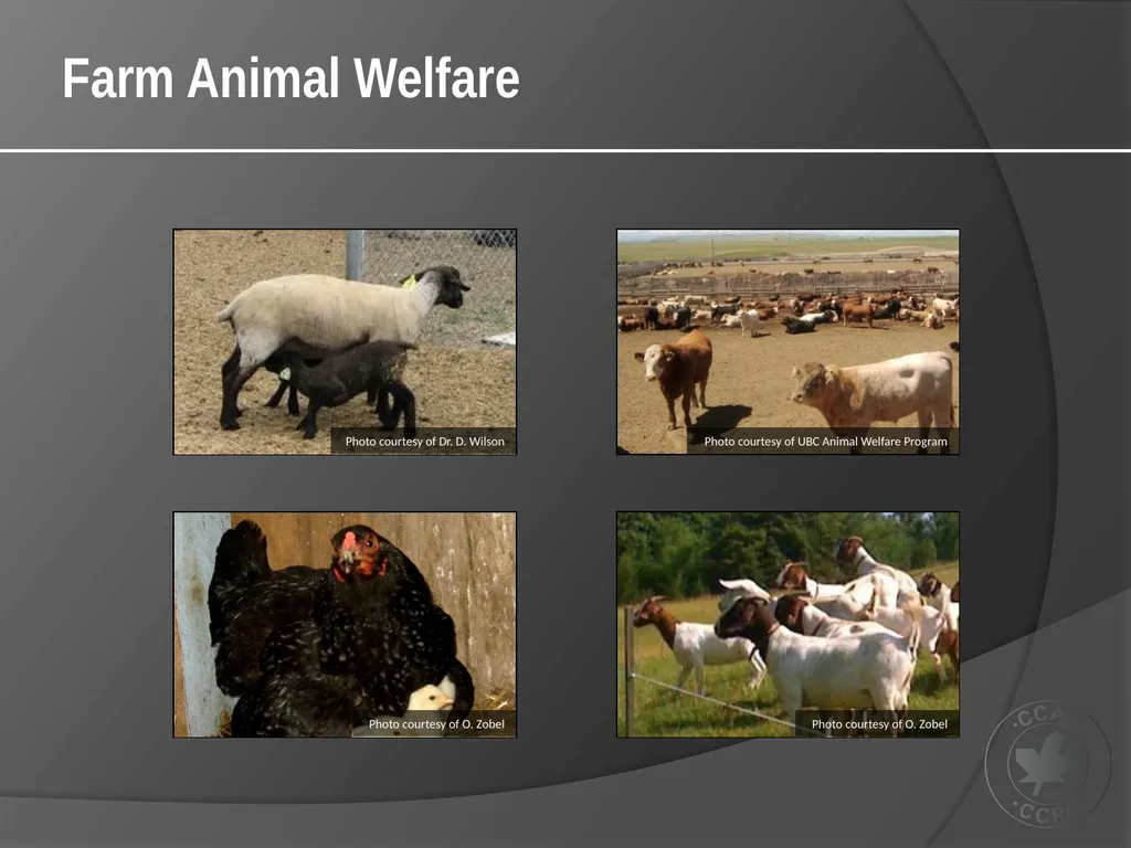 CCAC Training Module on: the Ethical Use and Care - slide 6 of 52
