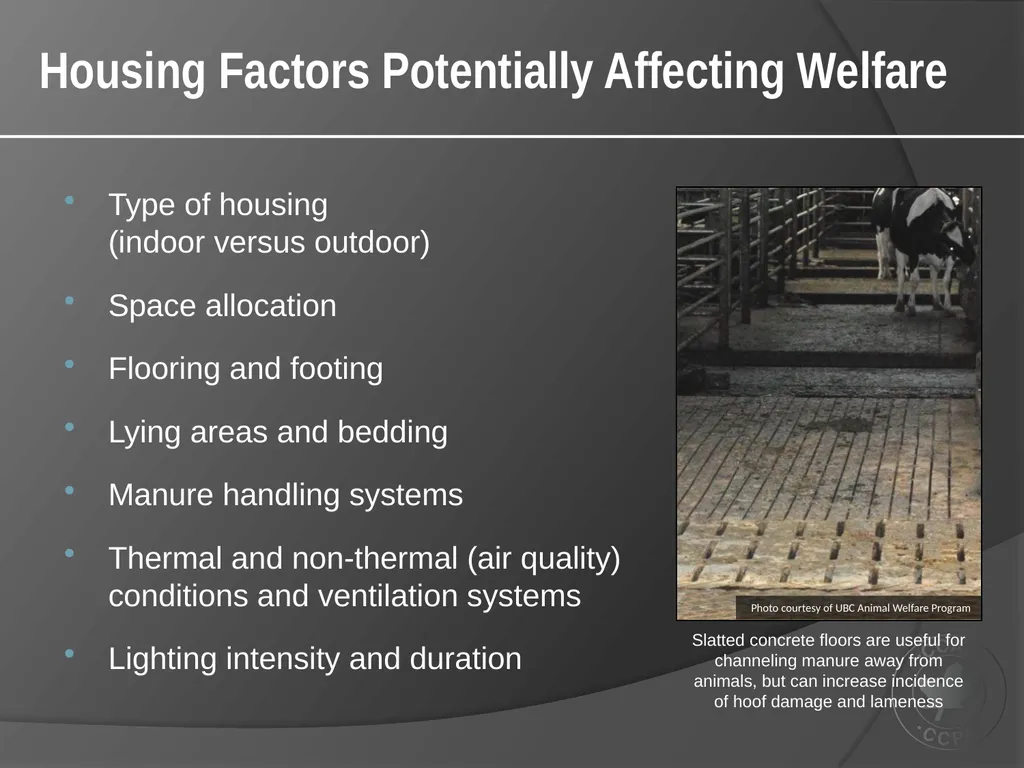 CCAC Training Module on: the Ethical Use and Care - slide 15 of 52
