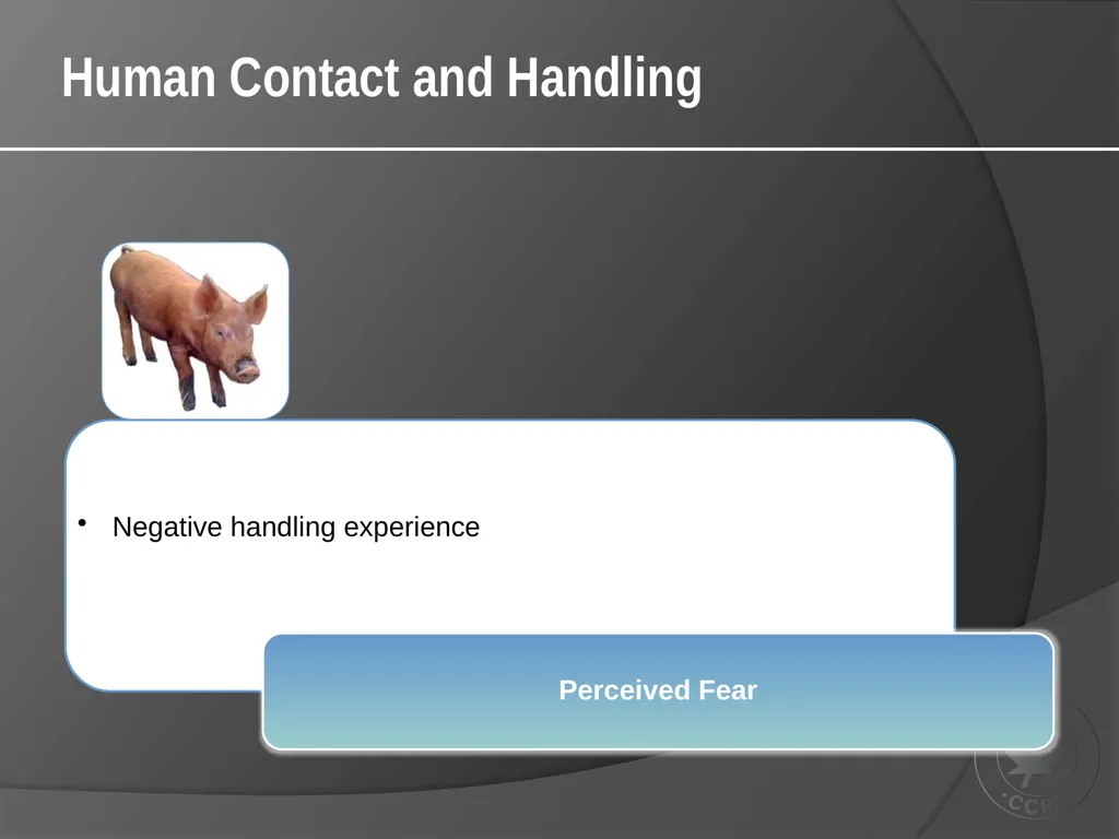 CCAC Training Module on: the Ethical Use and Care - slide 27 of 52