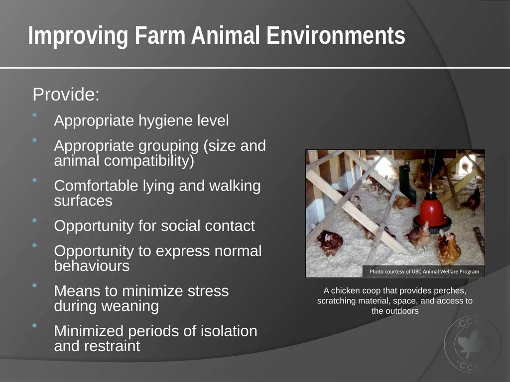 CCAC Training Module on: the Ethical Use and Care - slide 18 of 52