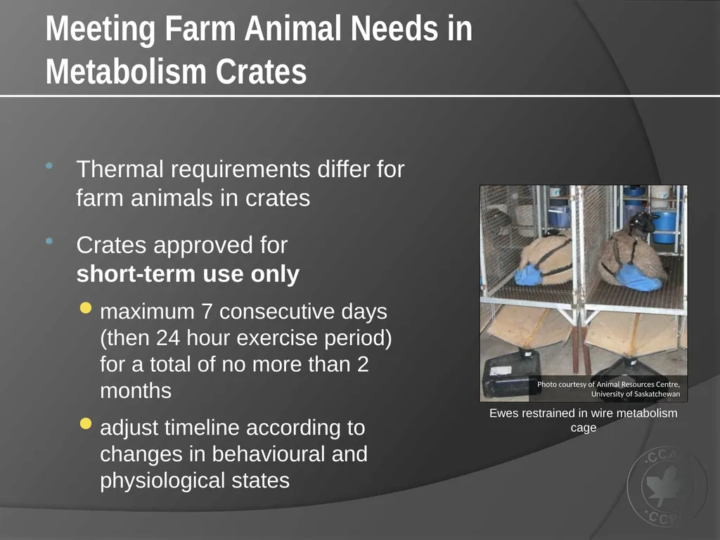CCAC Training Module on: the Ethical Use and Care - slide 38 of 52