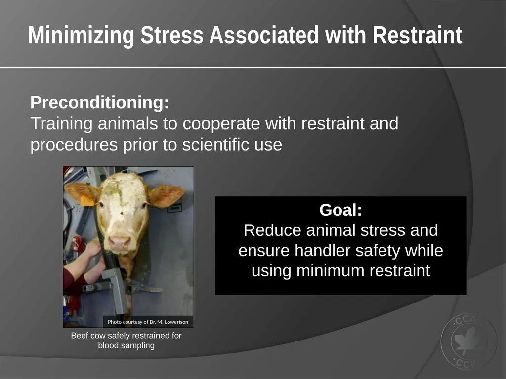 CCAC Training Module on: the Ethical Use and Care - slide 32 of 52