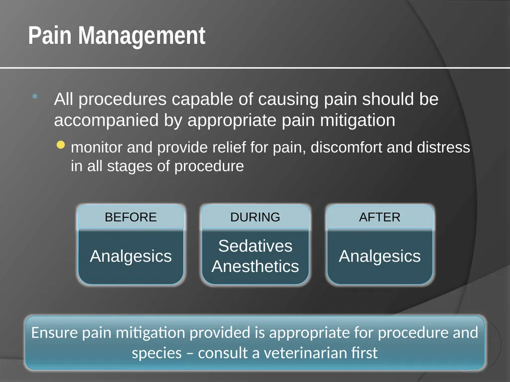 CCAC Training Module on: the Ethical Use and Care - slide 35 of 52