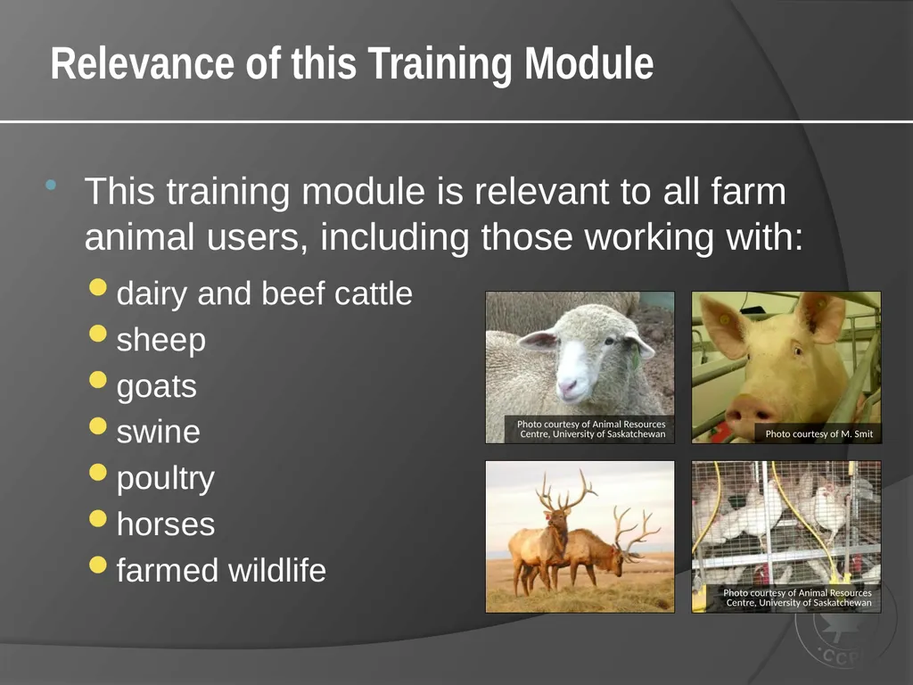CCAC Training Module on: the Ethical Use and Care - slide 2 of 52