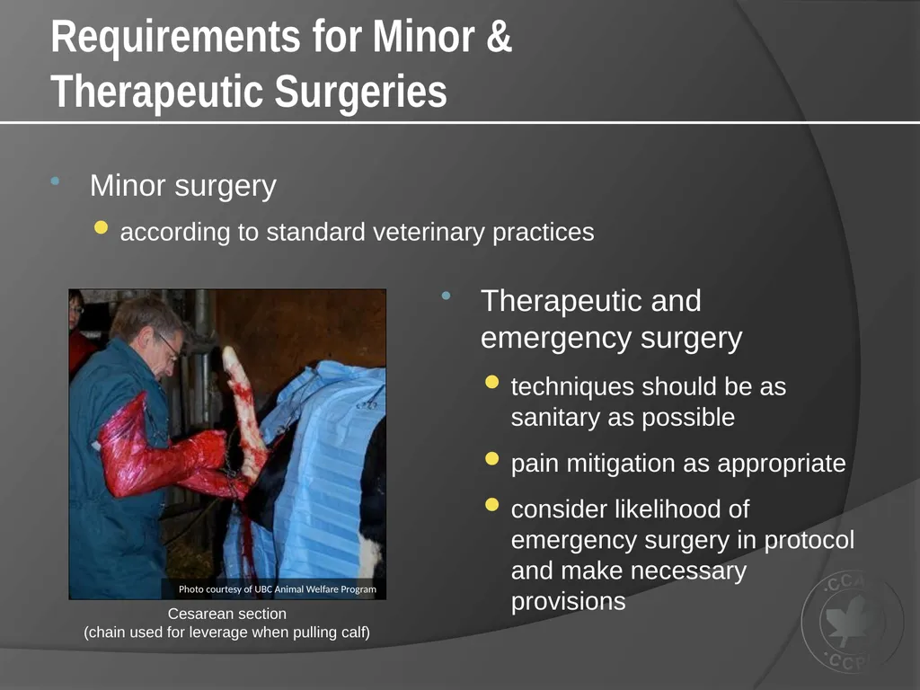 CCAC Training Module on: the Ethical Use and Care - slide 45 of 52
